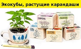 ekokuby-rastushchiye-karandashi-otkrytki.jpg
