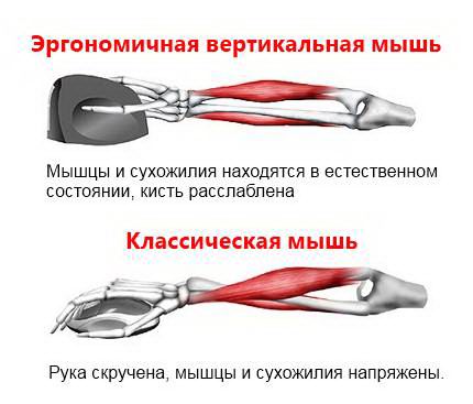 Беспроводная вертикальная компьютерная мышь Wowpen joy фото