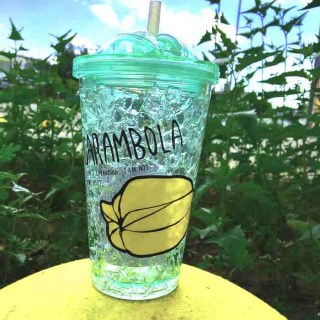Ледяной стакан «CARAMBOLA» с трубочкой купить