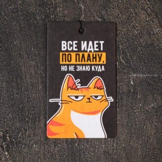 Ароматизатор для авто КОТЭ «Все по плану» тропики фото