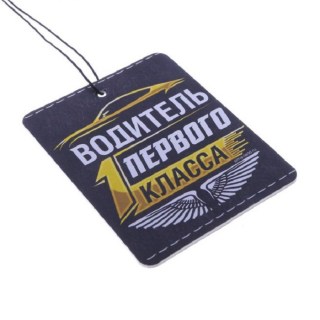 Ароматизатор для авто «Водитель первого класса» черный лед фото