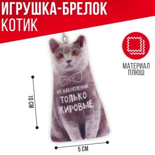 Брелок - игрушка котэ «Мои накопления» купить