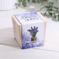 ЭкоКуб «Лаванда» Минск +375447651009