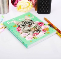 Ежедневник «Серый кот» с раскраской купить в Минске +375447651009