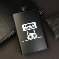 Фляжка подарочная «Снова пьешь?» 270 мл. купить в Минске