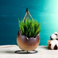 Интерьерный горшок для цветов на подвесе «Egg» Минск +375447651009