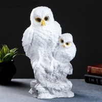Копилка для монет «Полярные совы» купить Минск +375447651009
