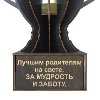 Кубок «Лучшим родителям на свете. За мудрость и заботу» фото
