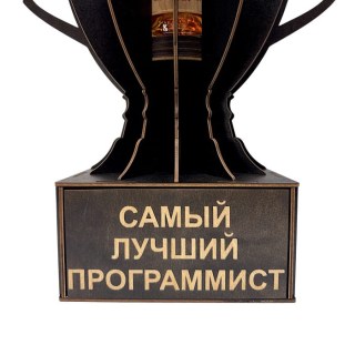 Кубок-награда «Самый лучший программист» фото