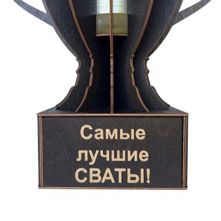 Кубок-награда «Самые лучшие сваты!» фото
