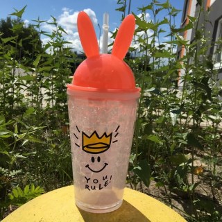 Ледяной стакан ICE CUP «YOU RULE!» купить