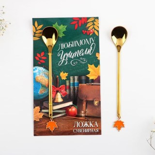Ложка чайная подарочная «Учителю» с подвеской купить
