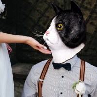 Маска латексная «Кот» купить Минск +375447651009