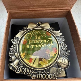 Медаль в подарочной коробке «За успехи в учебе» фото