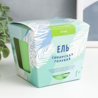 Набор для выращивания растений «Ель сибирская» купить в Минске