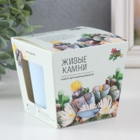 Набор для выращивания растений «Живые камни» Минск +375447651009