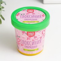 Набор для выращивания «Вырасти дерево!» гибридная глоксиния Минск +375447651009