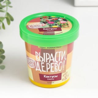 Набор для выращивания «Вырасти дерево!» микс кактусов купить
