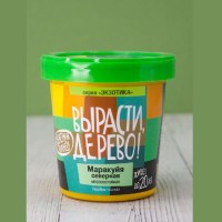 Набор для выращивания «Вырасти дерево!» северная маракуйя Минск +375447651009