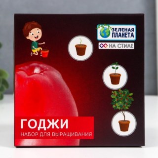 Набор для выращивания «Ягоды годжи» в горшочке купить