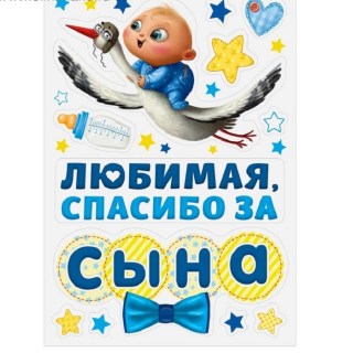 Набор магнитов на авто «Любимая, спасибо за сына» 12 элементов купить