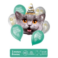 Набор шаров «Happy Birthday.Серый кот» 7 штук Минск +375447651009