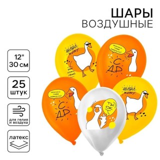 Набор шаров «С др. Гуси» 25 штук купить