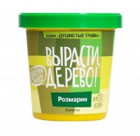 Набор «Вырасти дерево!» розмарин купить в Минске +375447651009