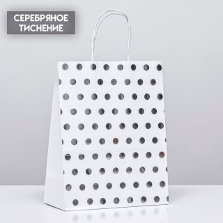 Пакет подарочный крафт «Серебристый горошек» 27 х 21 х 11 см купить