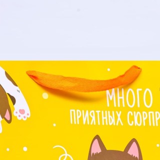 Пакет подарочный квадратный «Много приятных сюрпризов» 40 х 40 х 40 см фото