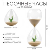 Песочные часы «Cactus» 30 минут Минск +375447651009