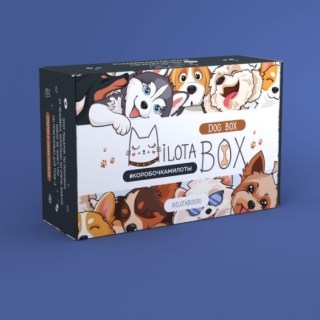 Сюрприз бокс MilotaBox «Dоg» 13 предметов купить