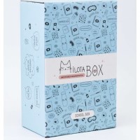 Сюрприз бокс MilotaBox «Школа» 8 предметов купить в Минске +375447651009