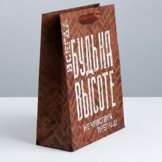 Подарочный пакет «Будь на высоте» 23 × 27 × 8 см фото