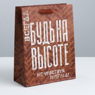 Подарочный пакет «Будь на высоте» 23 × 27 × 8 см купить