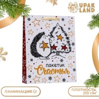Подарочный пакет ламинированный «Дети со снеговиком» 33×42×10см купить Минск +375447651009
