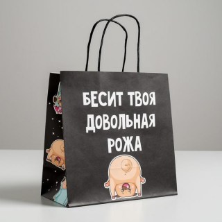 Подарочный пакет «Меня бесит» 22 × 22 × 11 см купить
