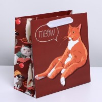 Подарочный пакет «Мяу» 22 × 22 × 11 см. Минск +375447651009