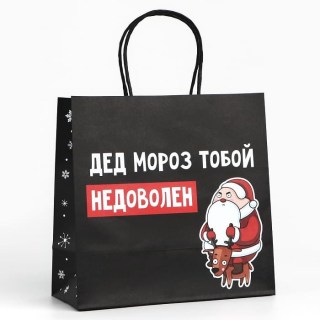 Подарочный пакет новогодний «Дед Мороз тобой недоволен»  22 х 22 х 11 см купить