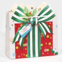 Подарочный пакет «Новогодний подарок»  25 х 26 х 10 см Минск +375447651009
