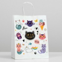 Подарочный пакет крафт «Cat's» 22 × 12 × 27 см Минск +375447651009