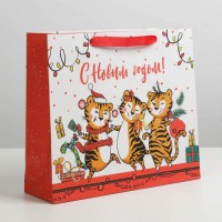Подарочный пакет «С Новым Годом» 30× 26×9 см Минск +375447651009