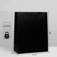 Подарочный пакет вертикальный «Black severity» 25 х 30 х 9 см Минск +375447651009
