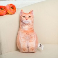 Подушка - антистресс «Рыжий котик» купить в Минске +375447651009