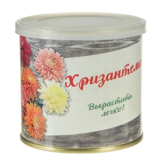 Растение в консервной банке «Хризантема» купить