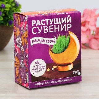 Растущая трава с вазоном «Луна» фото