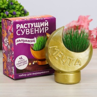 Растущая трава с вазоном «Луна» купить