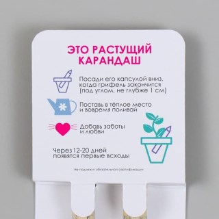 Растущие карандаши «Акация и гвоздика» черные 2 шт. фото