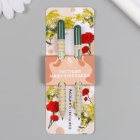 Растущие карандаши «Акация и гвоздика» черные 2 шт. Минск +375447651009