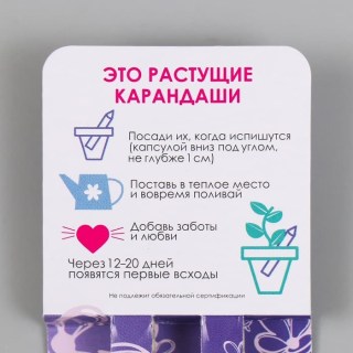 Растущие карандаши «Лаванда и сирень» черные 2 шт. фото